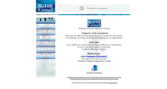 Desktop Screenshot of bhrconseil.com